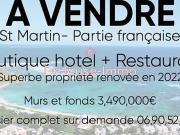 Saint Martin 97150 Achat / Vente divers 10 pièces piscine