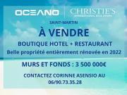 Saint Martin 97150 Achat / Vente immeuble piscine