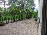 Saint Martin d'Hères Location Appartement 38