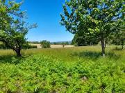 Saint Martin Terressus 87400 Programme neuf terrain neuf...