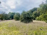 Saint Maximin la Sainte Baume 83470 Achat / Vente terrain