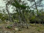 Saint Maximin la Sainte Baume 83470 Programme neuf...