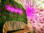 Saint Maximin la Sainte Baume Vente Appartement 83