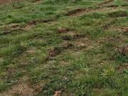 Saint Michel Chef Chef 44730 Programme neuf terrain neuf...