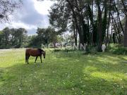Vannes Vente Maison 56