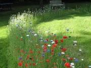 Saint Paterne Racan 37370 Programme neuf terrain neuf à...