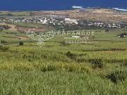 Saint Paul 97422 Achat / Vente terrain