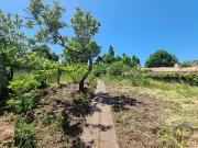 Saint Philbert de Grand Lieu 44310 Achat / Vente terrain