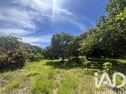 Saint Pierre 97410 Achat / Vente terrain