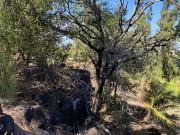 Saint Pierre 97410 Achat / Vente terrain