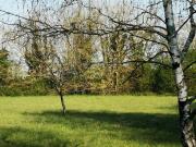 SAINT PIERRE D'AMILLY