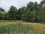 Saint Pierre du Mont 40280 Achat / Vente terrain