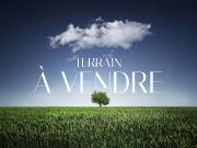 Saint Pierre Vente Terrain 97