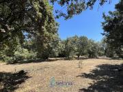 Saint Quentin la Poterie Vente Terrain 30