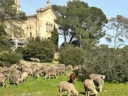 Saint Raphaël 83700 Achat / Vente maison 5 pièces t5