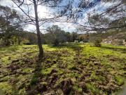 Saint Raphaël Vente Terrain 83