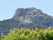 Saint Rémy de Provence Vente Maison 13