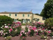 Saint Rémy de Provence Vente Maison 13