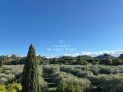 Saint Rémy de Provence Vente Maison 13