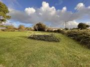 Saint Romain de Benet 17600 Achat / Vente terrain