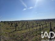 Saint Saturnin de Lucian Vente Terrain 34