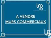 Saint Sébastien sur Loire 44230 Achat / Vente immeuble