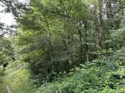 Saint Senoux 35580 Achat / Vente terrain