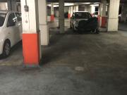 SAINT SYLVESTRE / RAY