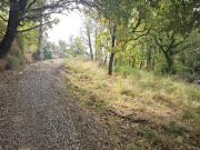 Saint Vallier de Thiey Vente Terrain 06