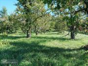 Saint Vincent Rive d'Olt Vente Terrain 46