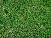 Sainte Maure de Touraine 37800 Programme neuf terrain...