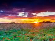 Sainte Maure de Touraine 37800 Programme neuf terrain...