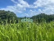 Sainte Rose 97115 Achat / Vente terrain