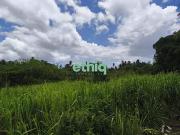 Sainte Rose 97115 Achat / Vente terrain