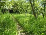 Saintry sur Seine 91250 Programme neuf terrain neuf à vendre