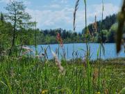 Saissersee: Baugrundstück in Seenähe