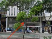 Sala em Centro, Rio de Janeiro/RJ de 314m² à venda por...