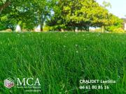 Salaunes Vente Terrain 33