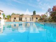 Salavas Vente Terrain 07