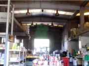 Sale Industrial Pinto