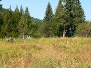 Salmo British Columbia Acreage