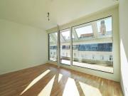 SALZGRIES | AB FEBRUAR 2026 | außergewöhnliche 2...