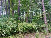 Sam Pate Dr, Birmingham, Plot For Sale