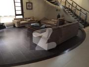 Sami Furnished Beautiful 1000 Yard Bungalow For Rent At...