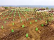 Narayankhed Residential Plot For Sale Hyderabad