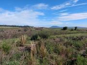 Lote Habitacional 1600 m San Antonio Zatlahuco cerca del...