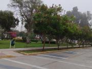 SAN BORJA DPTOS 180 M2 Y 240 M2