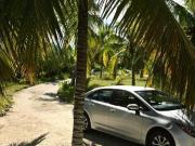 San Bruno, tu terreno de playa a una hora de Mérida