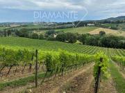 San Casciano in Val di Pesa ToscanaTuscany 97102870