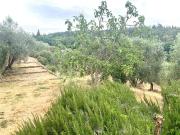 SAN DOMENICO / SETTIGNANO quadrilocale 90mq SAN DOMENICO / SETTIGNANO quadrilocale 90mq